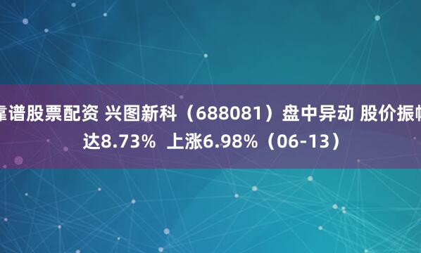 靠谱股票配资 兴图新科（688081）盘中异动 股价振幅达8.73%  上涨6.98%（06-13）
