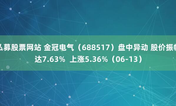私募股票网站 金冠电气（688517）盘中异动 股价振幅达7.63%  上涨5.36%（06-13）