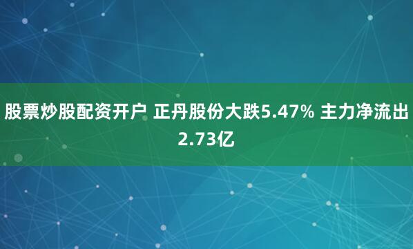 股票炒股配资开户 正丹股份大跌5.47% 主力净流出2.73亿